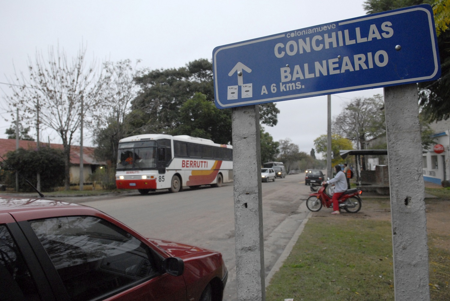 Conchillas. Foto: archivo El País