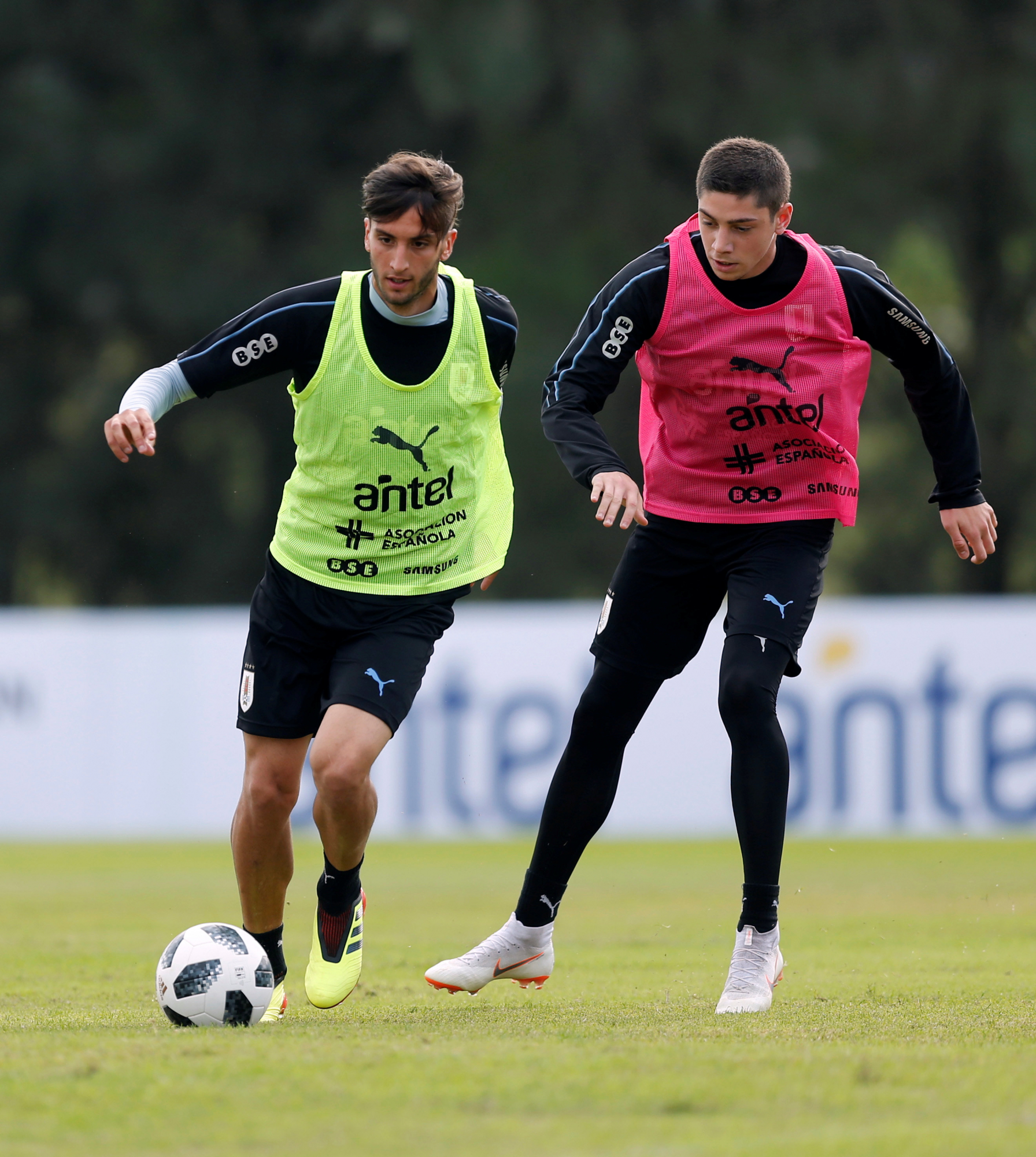 Rodrigo Bentancur y Federico Valverde, juntos en la selección uruguaya. Foto: Reuters.