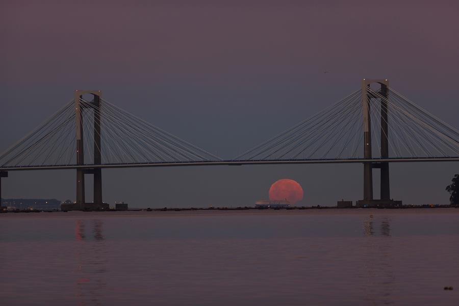 "Luna de trueno": así se vio el eclipse lunar. Foto: EFE.