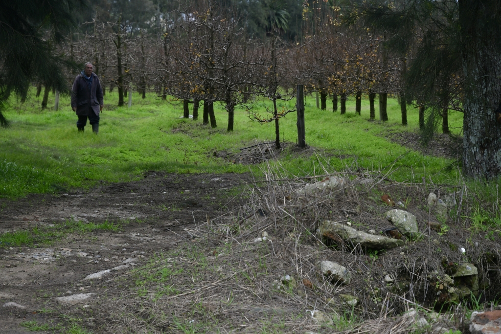 José Pedro Alegre, megabasurero, San Jacinto