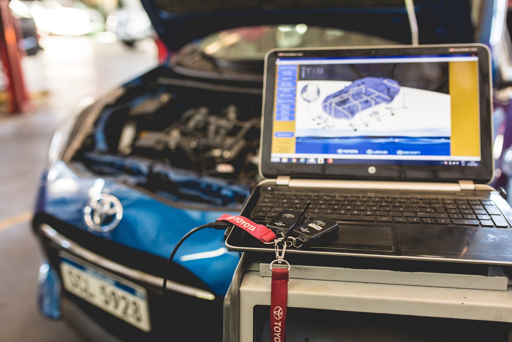 Ayax, curcio capital