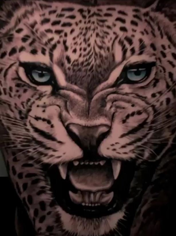 El leopardo en la espalda de Politano