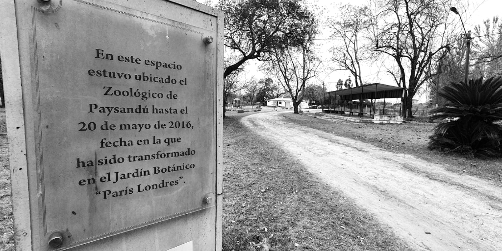 Así se encuentra actualmente el predio de funcionó hasta 2016 el zoológico sanducero. Foto: Santiago Balbis