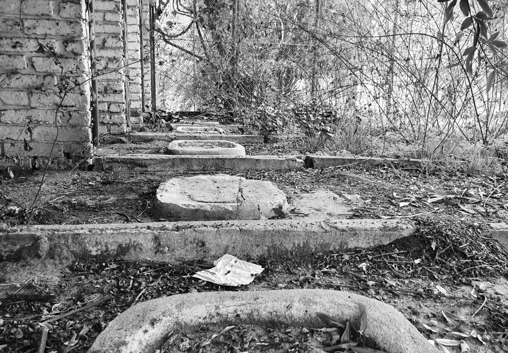 Así se encuentra actualmente el predio de funcionó hasta 2016 el zoológico sanducero. Foto: Santiago Balbis