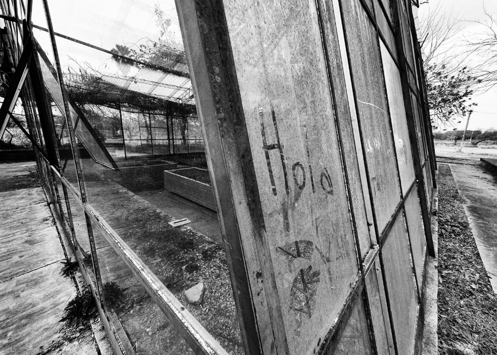 Así se encuentra actualmente el predio de funcionó hasta 2016 el zoológico sanducero. Foto: Santiago Balbis