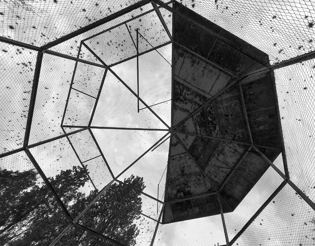 Así se encuentra actualmente el predio de funcionó hasta 2016 el zoológico sanducero. Foto: Santiago Balbis