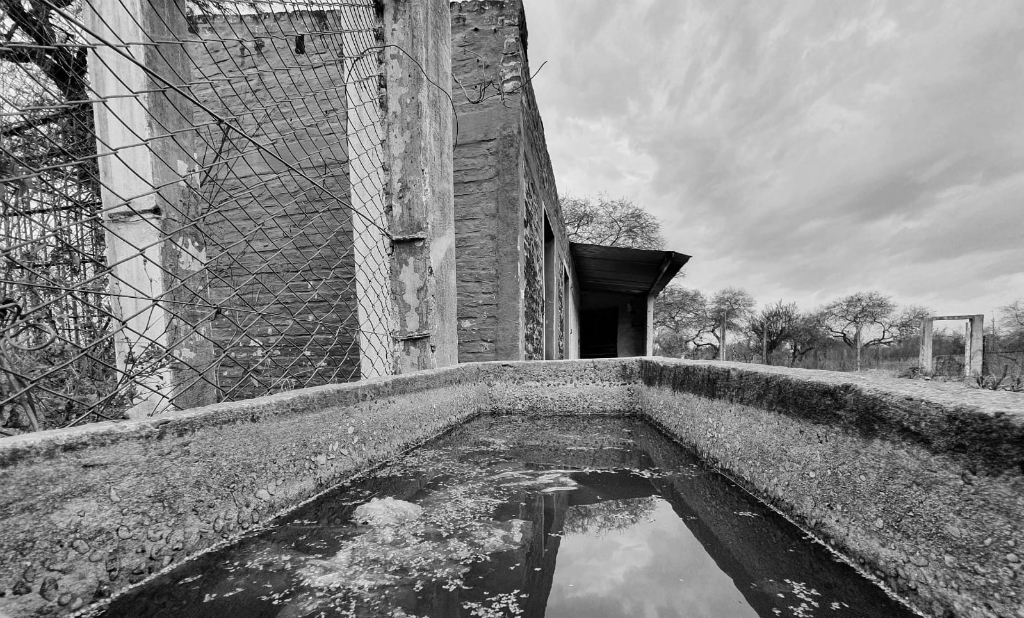 Así se encuentra actualmente el predio de funcionó hasta 2016 el zoológico sanducero. Foto: Santiago Balbis