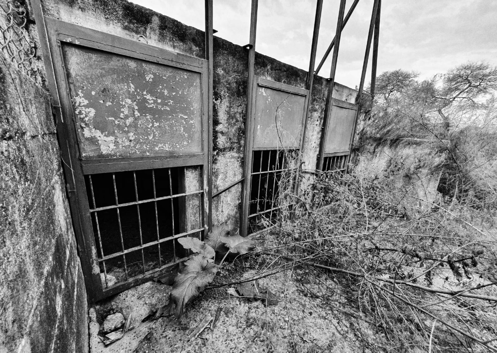 Así se encuentra actualmente el predio de funcionó hasta 2016 el zoológico sanducero. Foto: Santiago Balbis