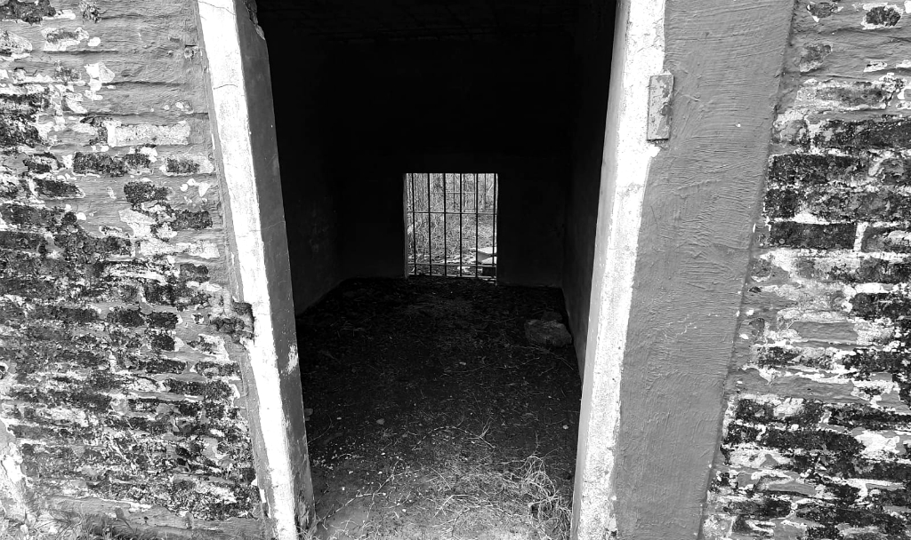 Así se encuentra actualmente el predio de funcionó hasta 2016 el zoológico sanducero. Foto: Santiago Balbis