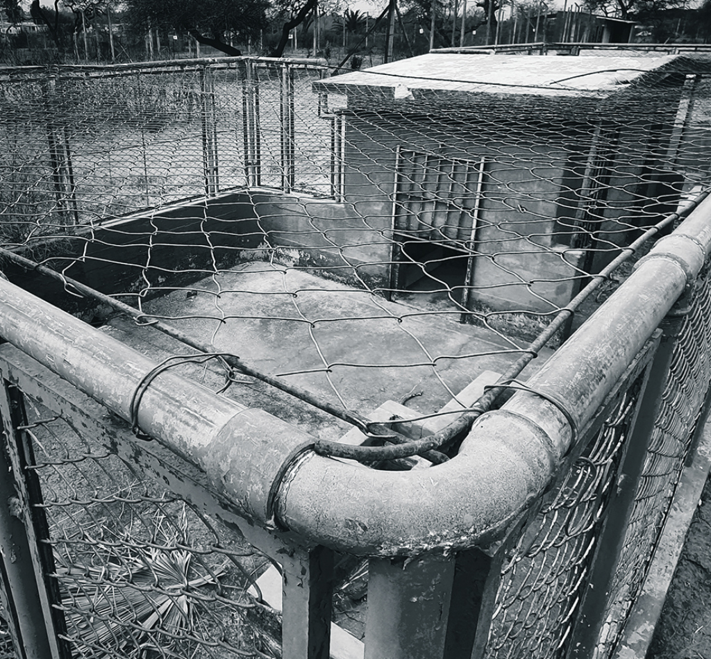 Así se encuentra actualmente el predio de funcionó hasta 2016 el zoológico sanducero. Foto: Santiago Balbis