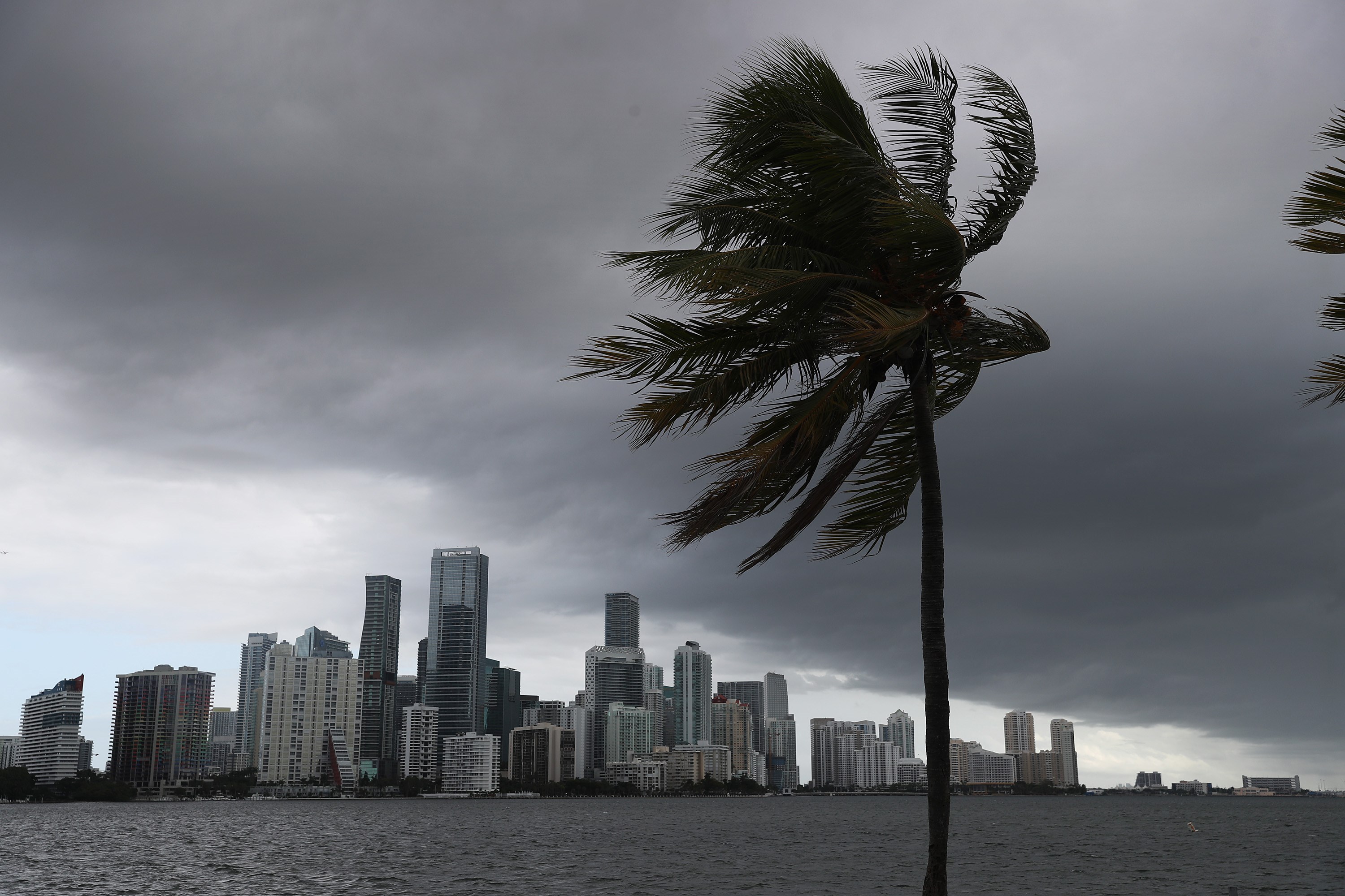 Florida se prepara para la llegada de la tormenta tropical. Foto: AFP