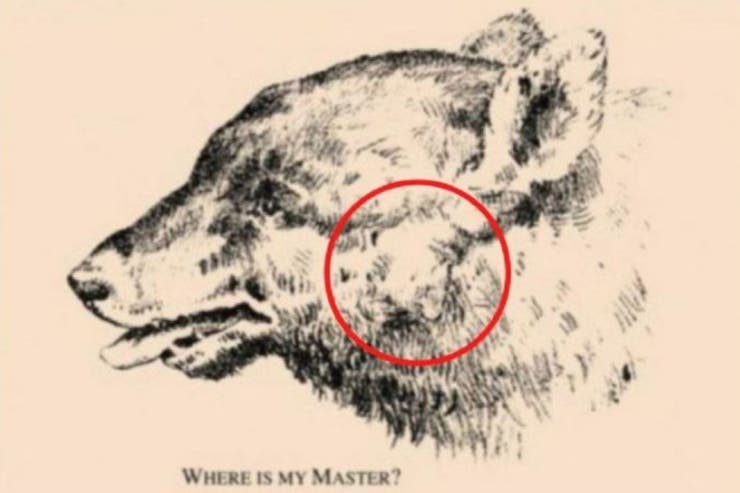 Acertijo resuelto. Foto: La Nación