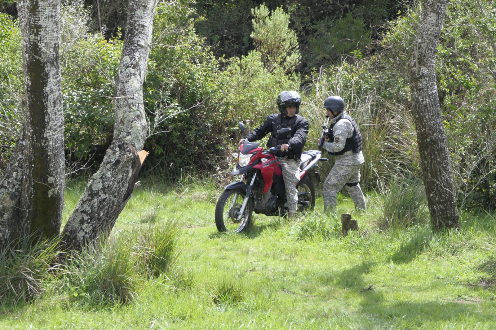 Operativo para buscar a hombre que mató a niña de 7 años. Foto: Ricardo Figueredo.