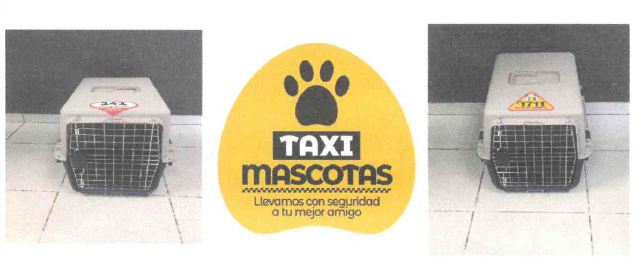 "Taxi Mascotas"