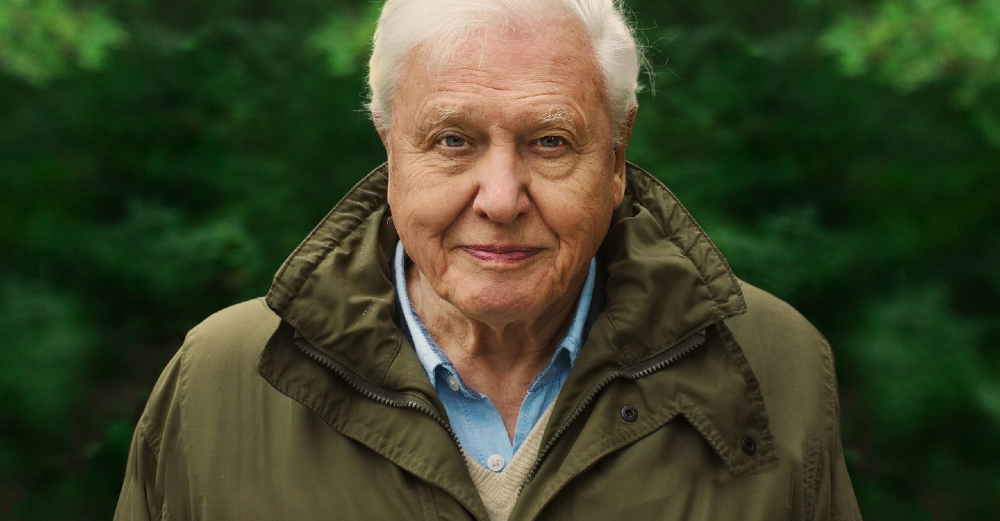 Imagen del documental "David Attenborough: A Life on Our Planet". Foto: Difusión