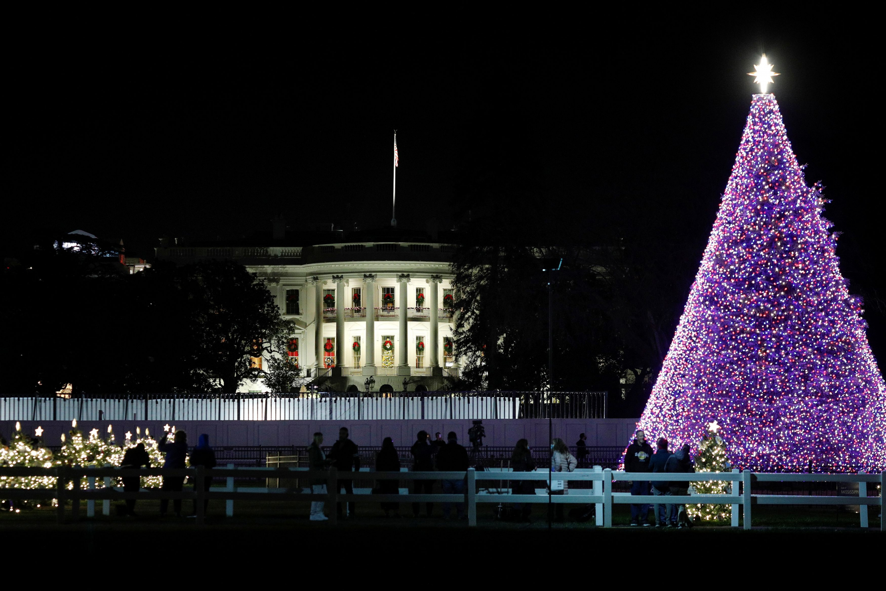 Árbol de Navidad de la Casa Blanca. Foto: AFP