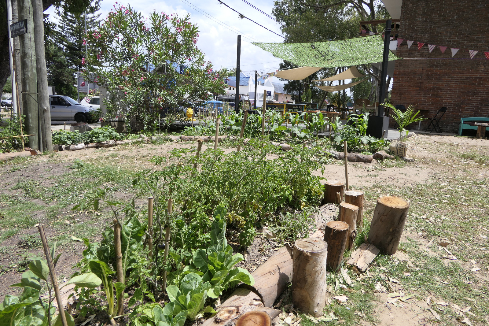 El Popu. Foto: Ricardo Figueredo