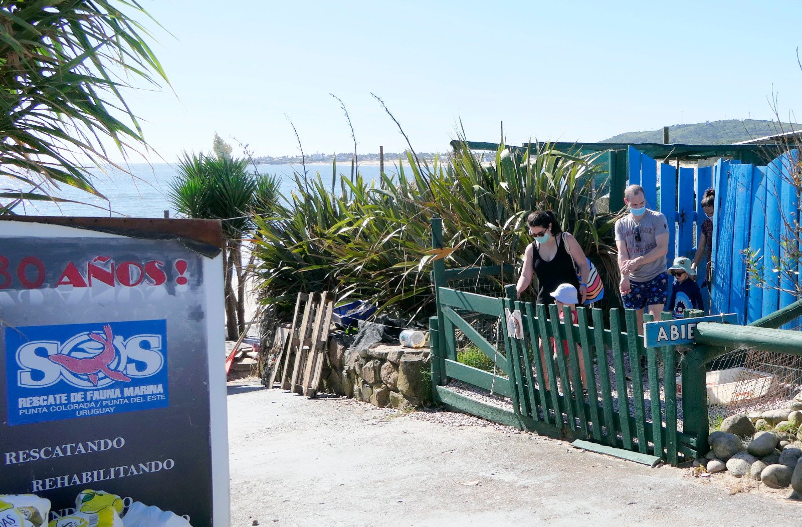 SOS Rescate Fauna Marina. Foto: Ricardo Figueredo