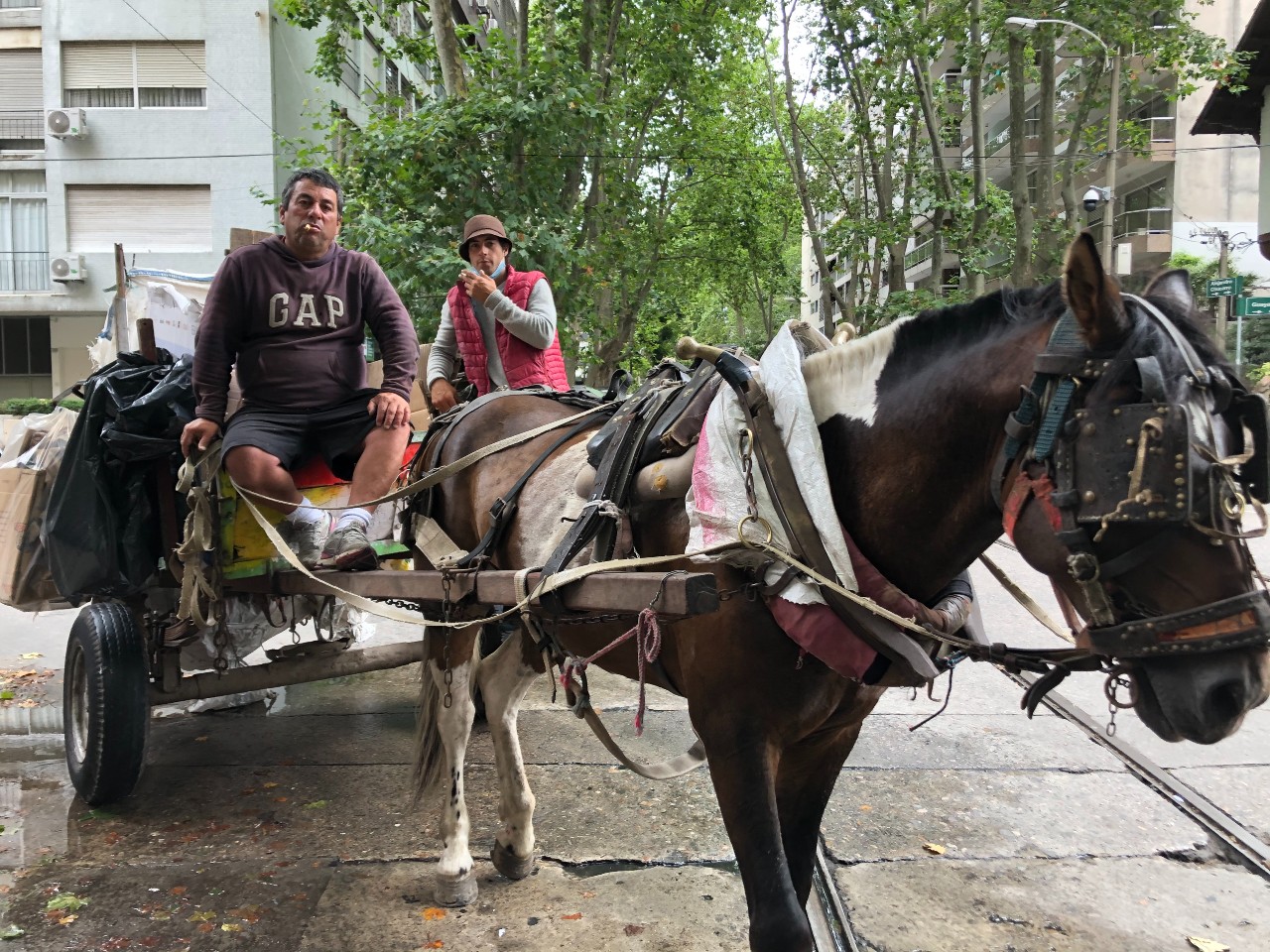Clasificadores. Foto: Sebastián Cabrera