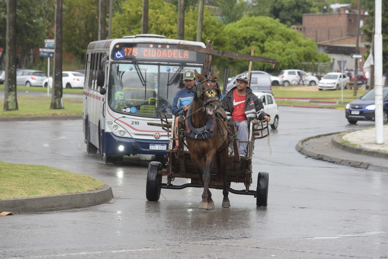 Carrito de basura. Leonardo Mainé.