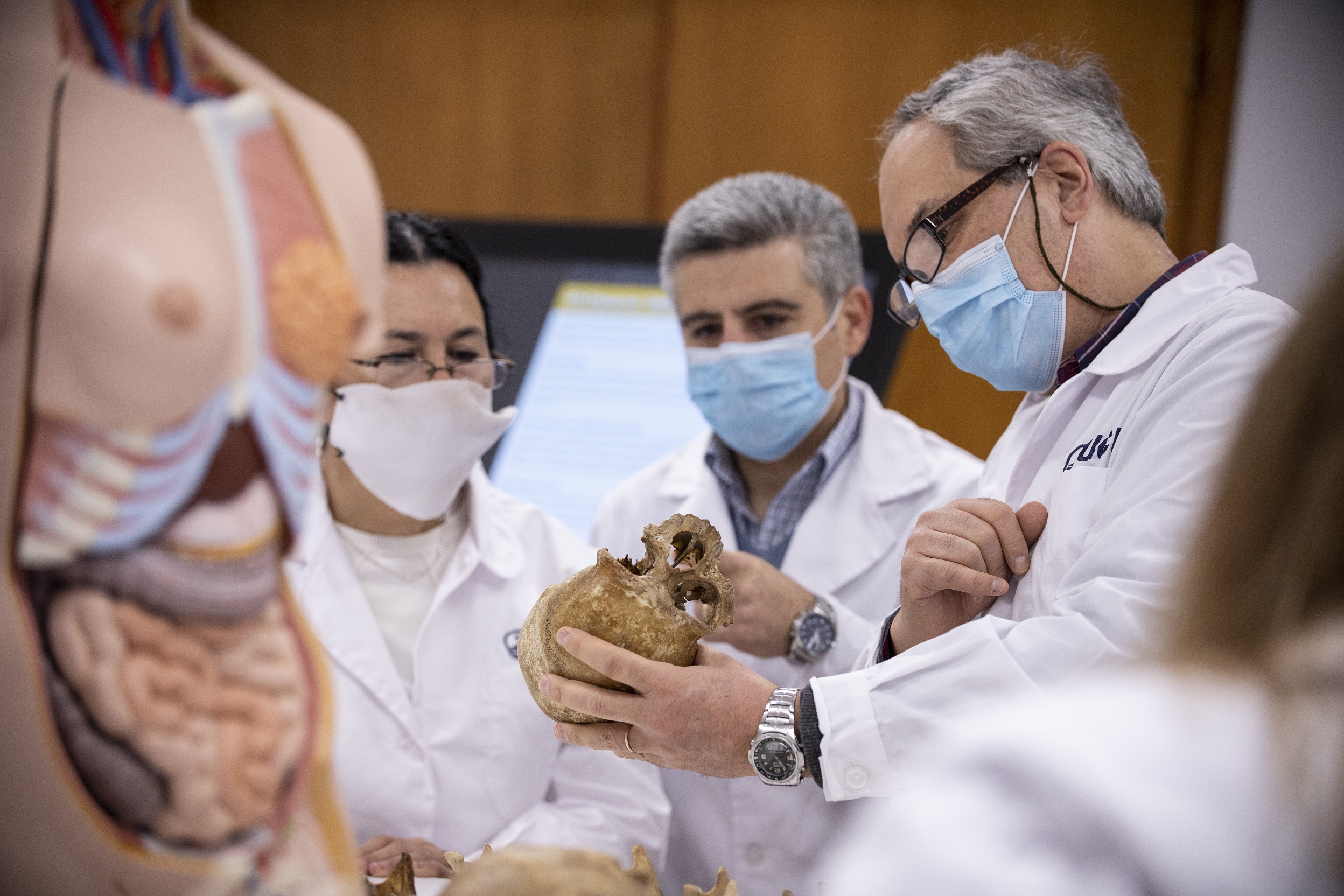 Laboratorio Morfofuncional equipado con tecnología de vanguardia de Universidad Católica (UCU)