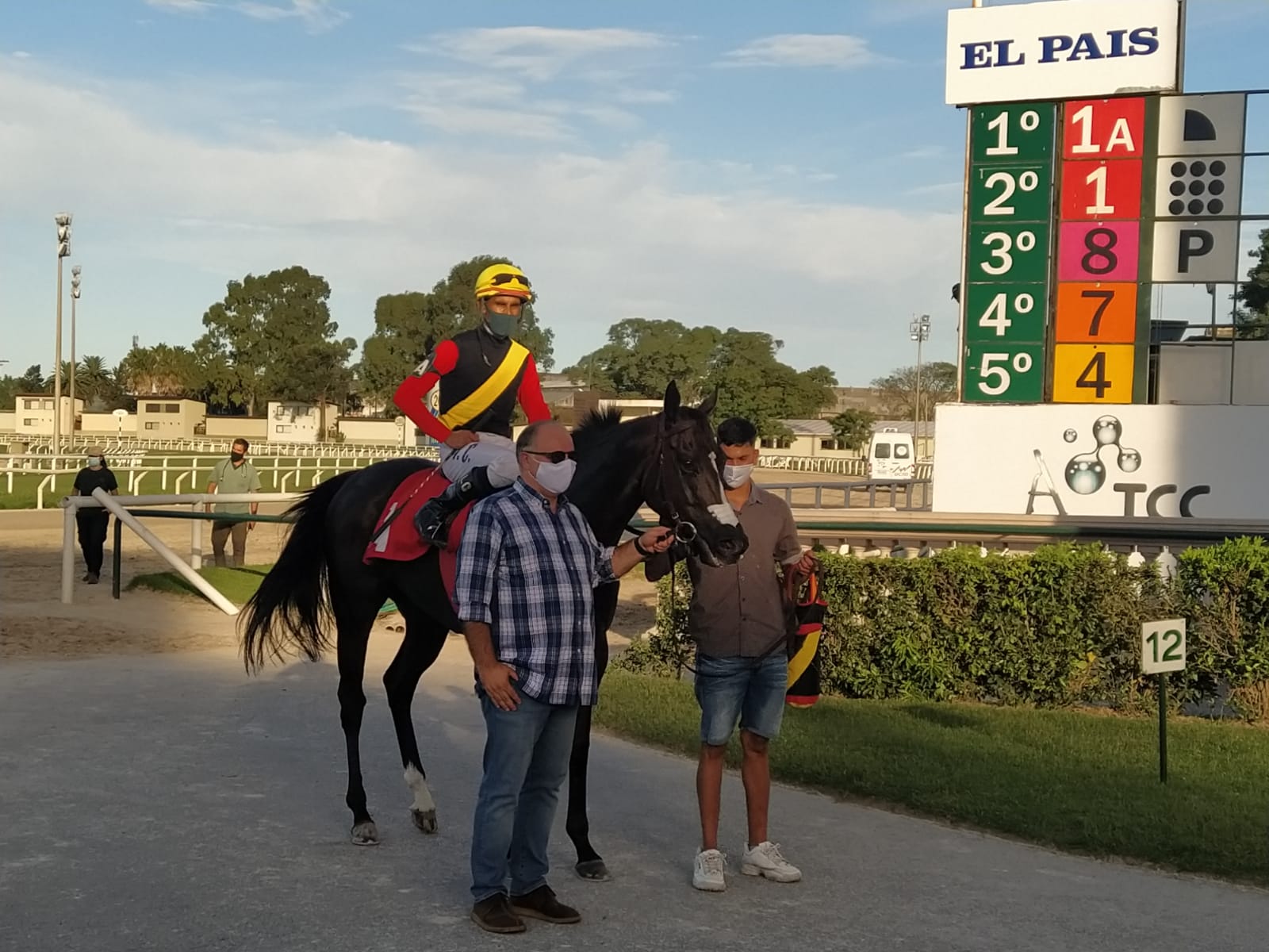 Rainha Pioneira Mautone