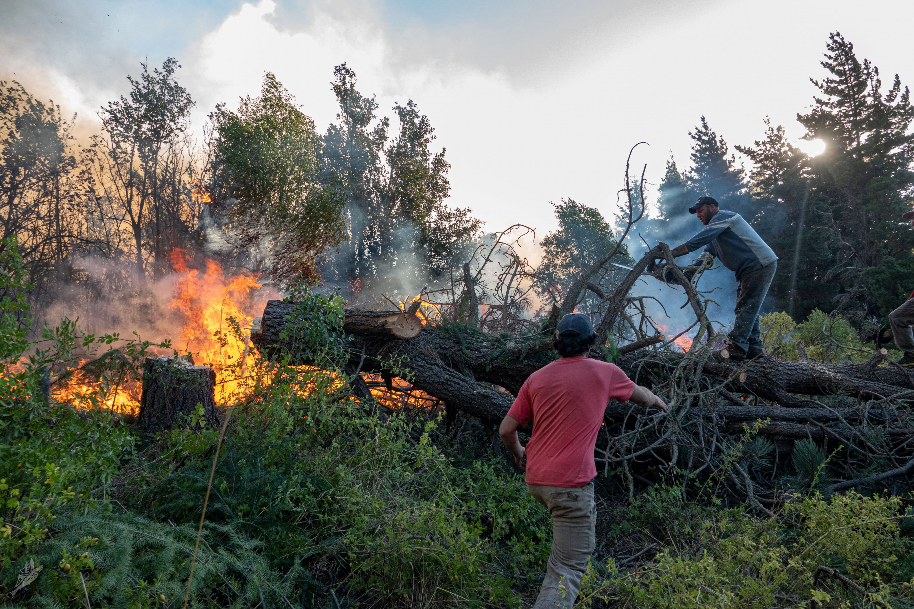 Incendio en la Patagonia. Foto: Reuters