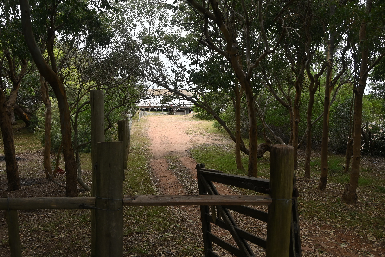 Fiesta clandestina en vivienda de Sauce de Portezuelo. Foto: Ricardo Figueredo