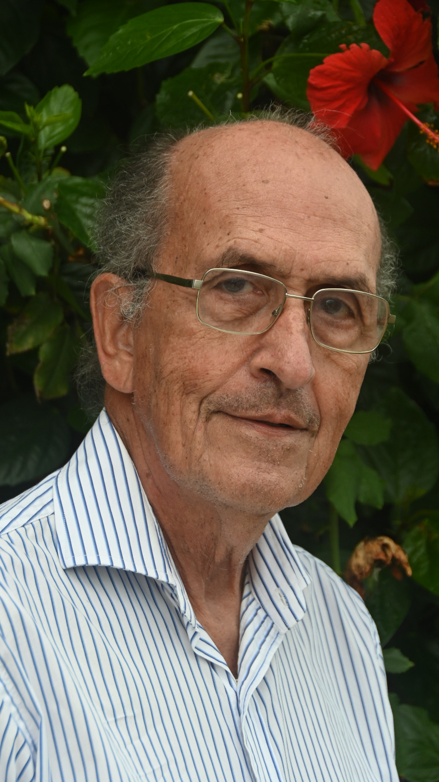 Rodolfo Gambini