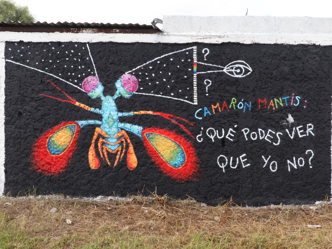 Mural por la Semana del Cerebro. Foto: semanadelcerebro.org