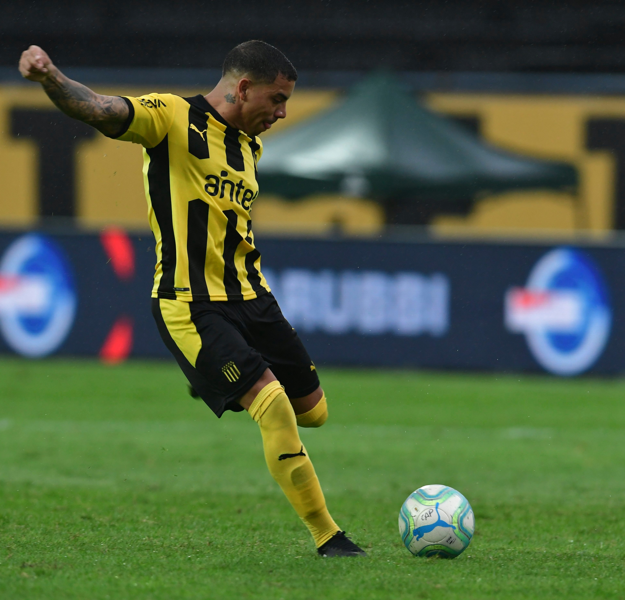 David Terans. Foto: Nicolás Pereyra.