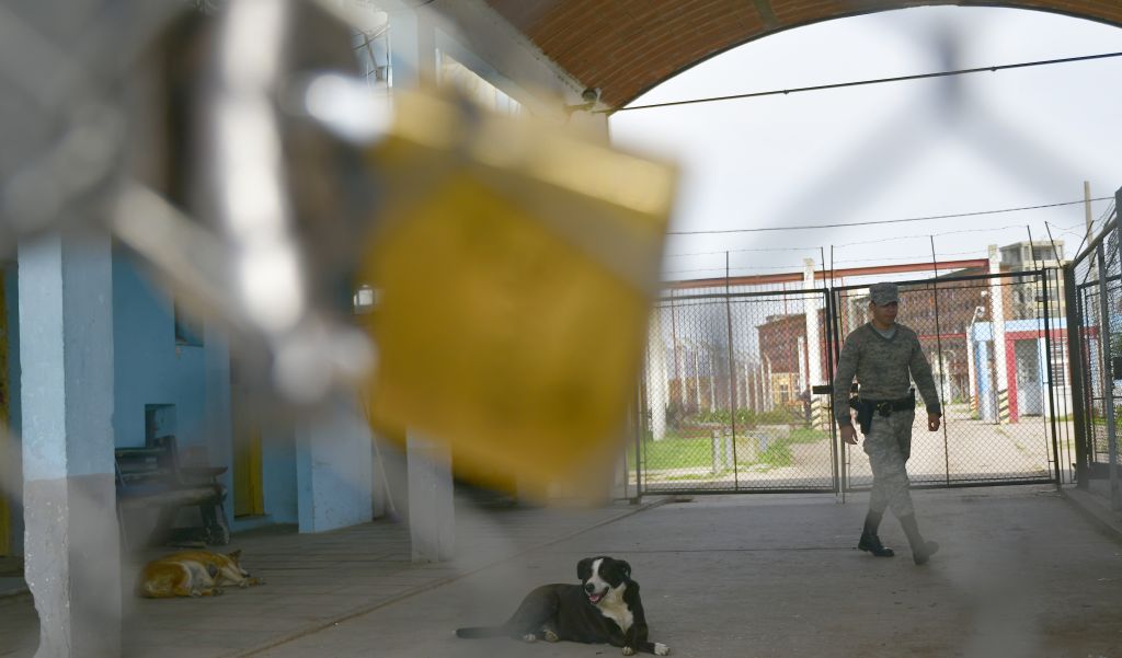 Preso, con antecedentes por estafas, buscó burlar los sistemas de la Policía. Foto: Fernando Ponzetto