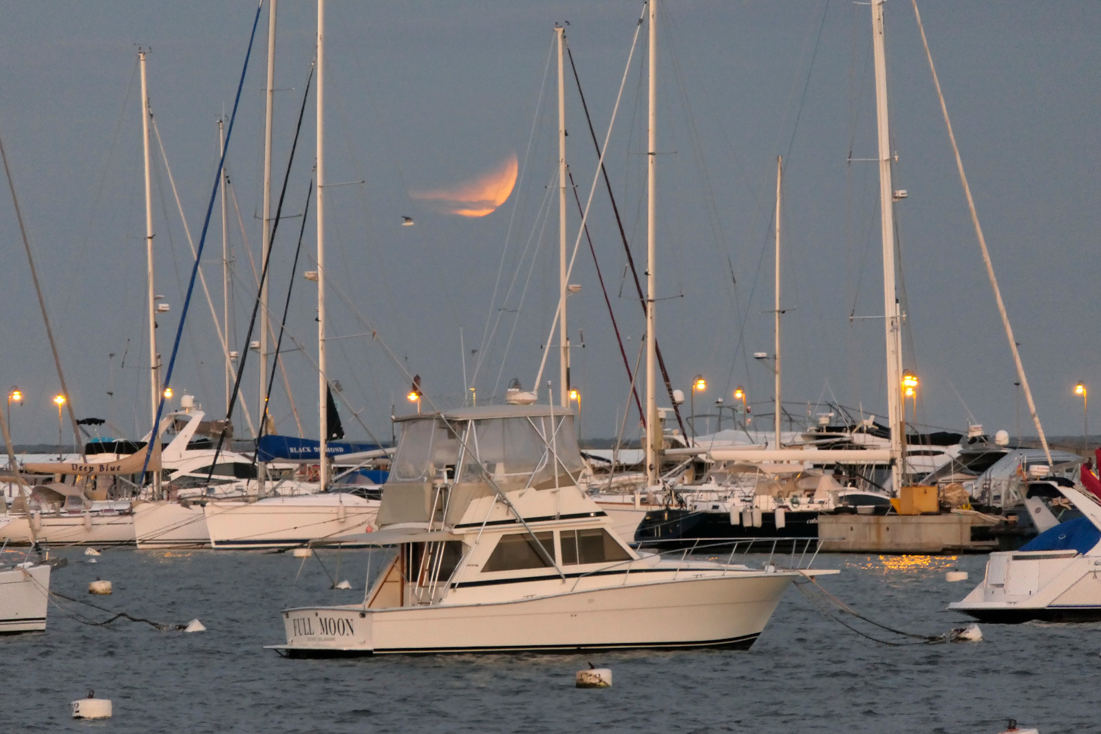 Puerto de Punta del Este: eclipse lunar. Foto: Ricardo Figueredo