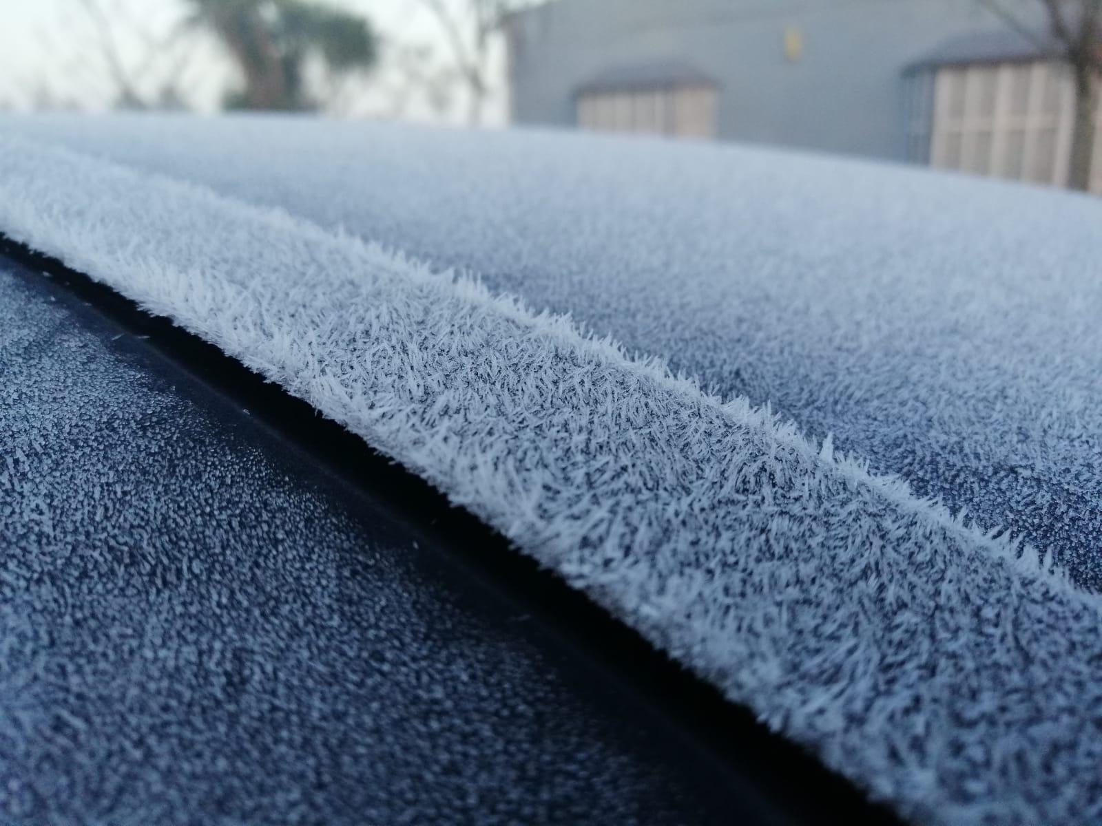 Auto con hielo producto de la primera ola de frío en el 2021. Foto: Inumet