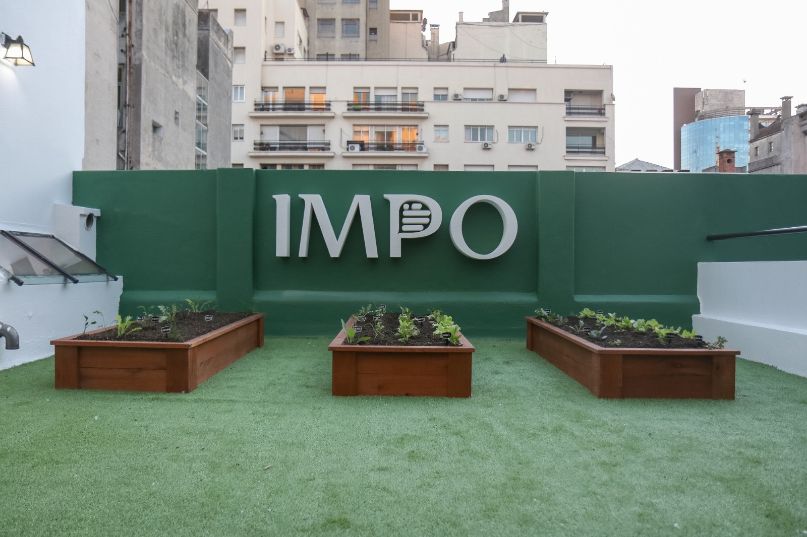 Huerta en el IMPO. Foto: Comunicación Sur