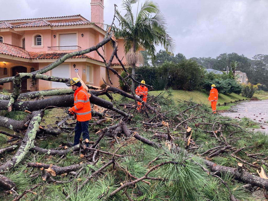 Consecuencias del temporal en Punta del Este. Foto: Intendencia de Maldonado