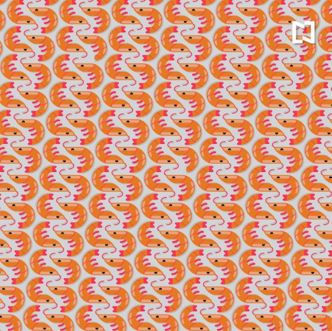 reto visual camarones