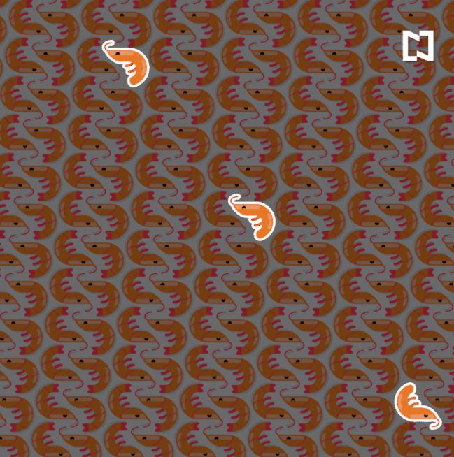 reto visual camarones