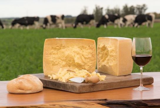 Granja La Cumbre. Foto: La Cumbre