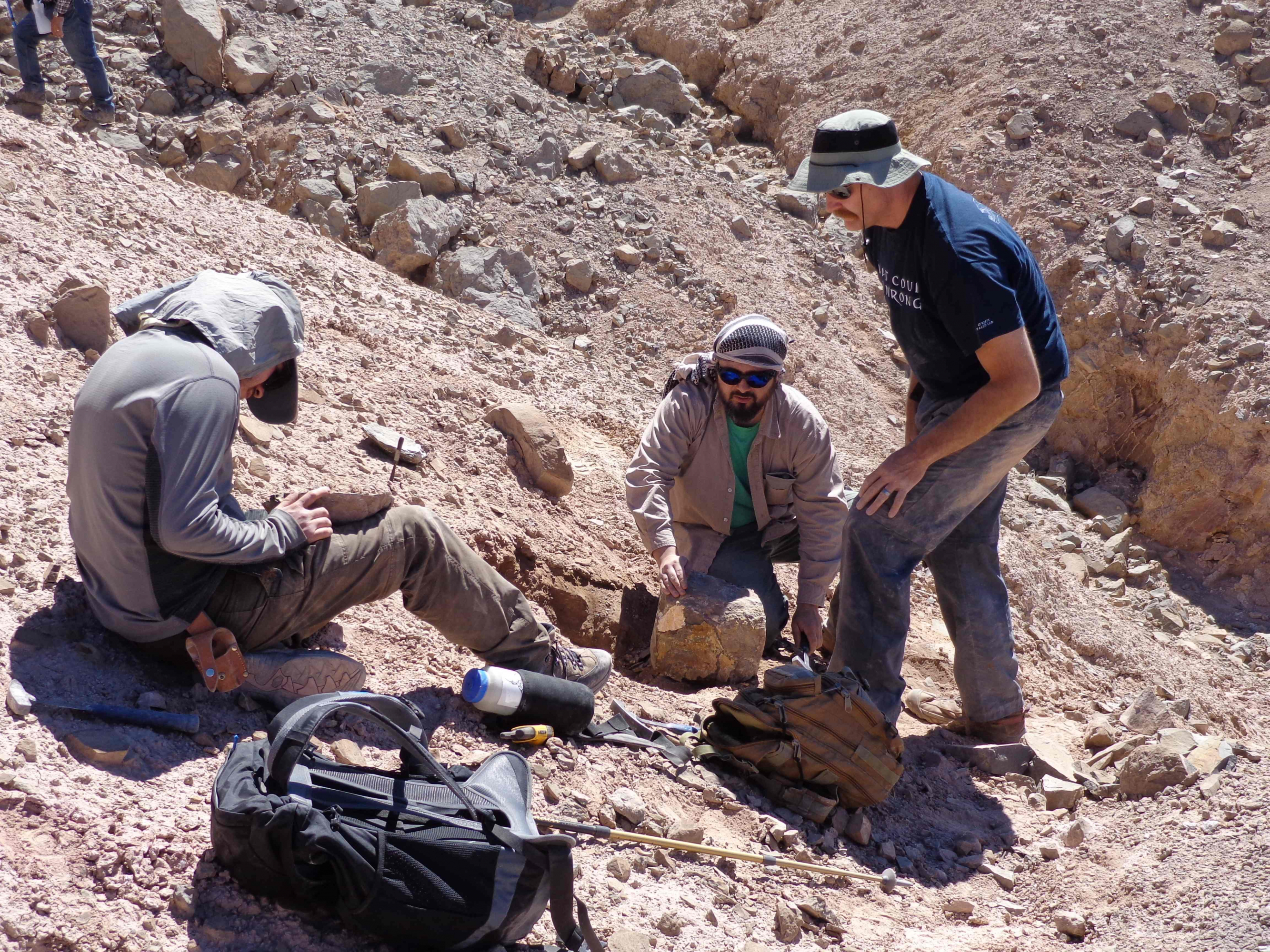Grupo de científicos trabajando en el campo con el rescate de fósiles de un pterosaurio en el desierto de Atacama en el norte de Chile. Foto: AFP