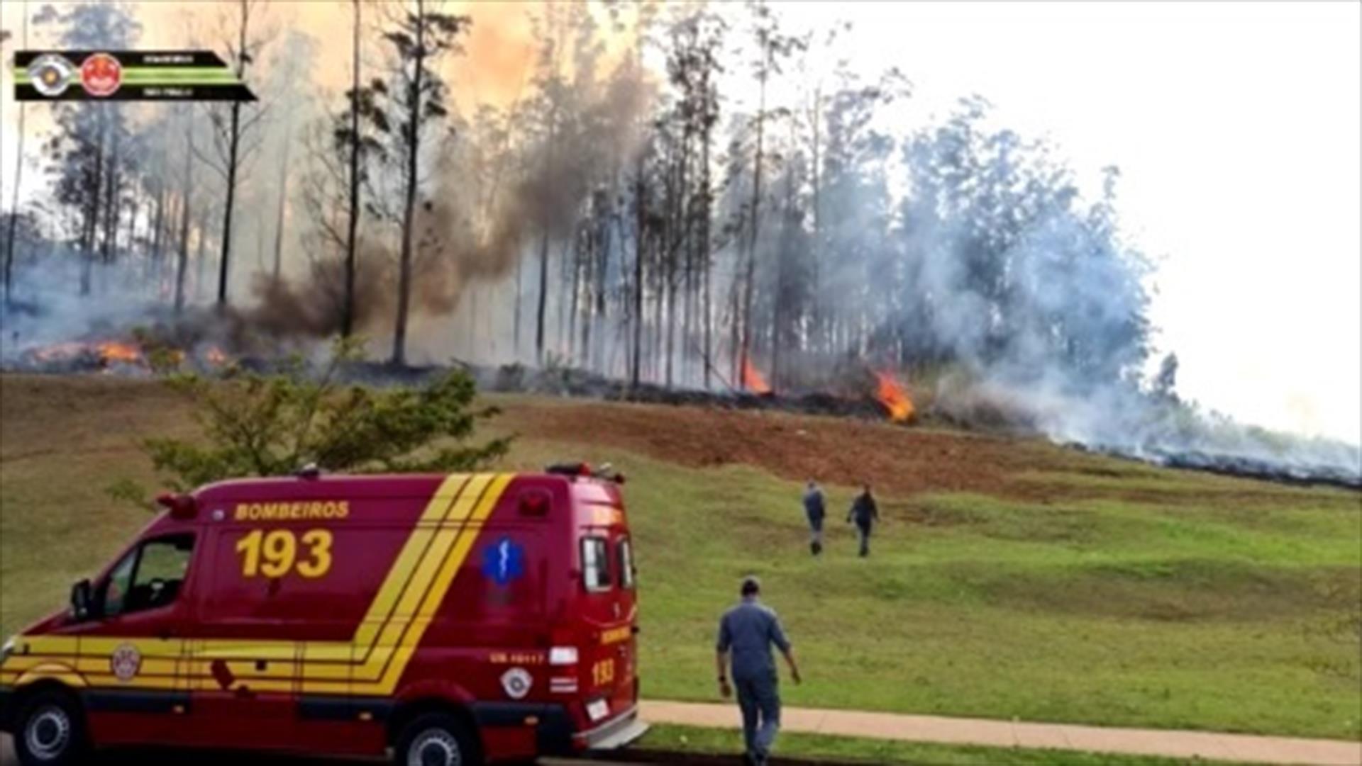 Accidente en Brasil: las llamas de la avioneta en una zona boscosa. Foto: Efe