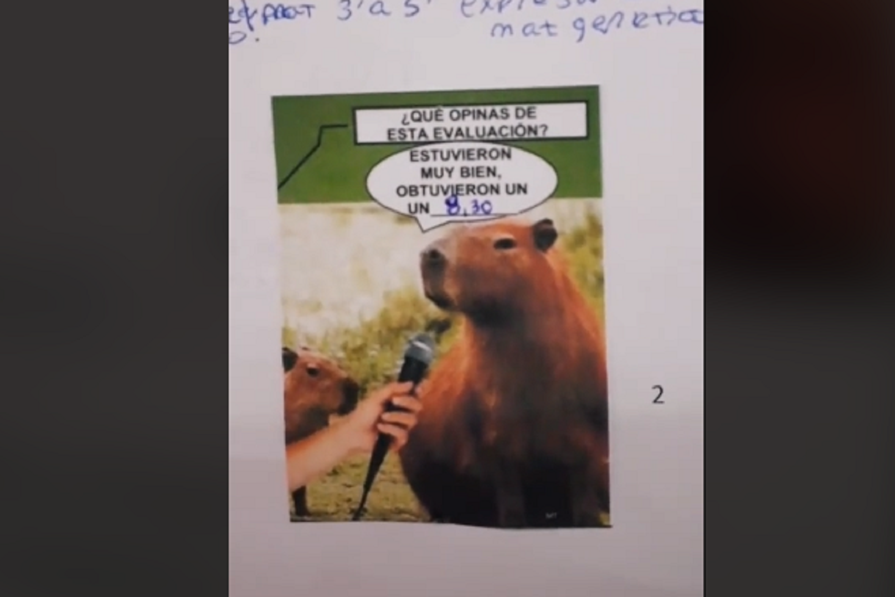 Profesora argentina corrige las pruebas de los alumnos con memes. Foto: Captura Tik Tok @daiamores