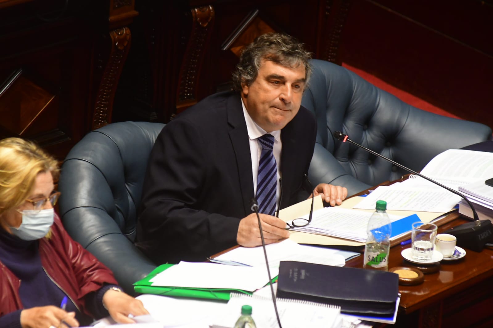 El senador Sergio Botana. Foto: Francisco Flores