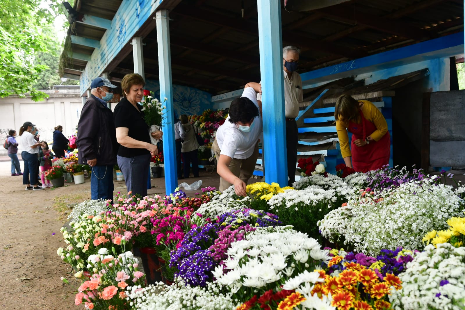 Cementerios en Día de los Difuntos. Foto: Francisco Flores
