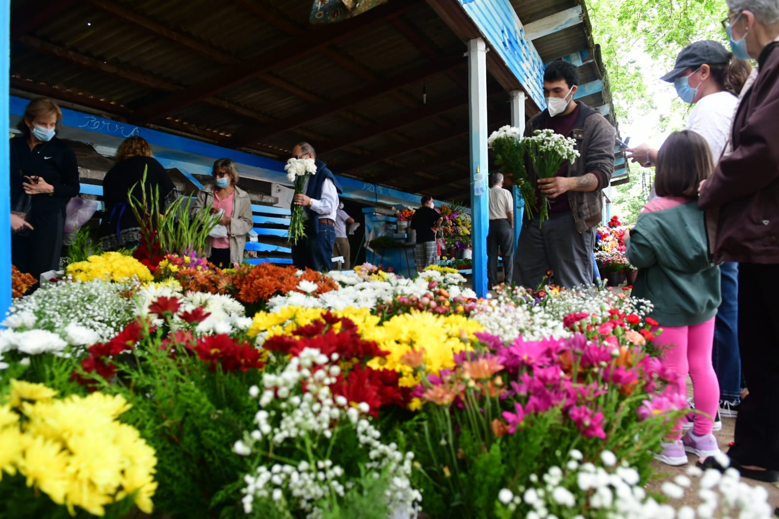 Cementerios en Día de los Difuntos. Foto: Francisco Flores