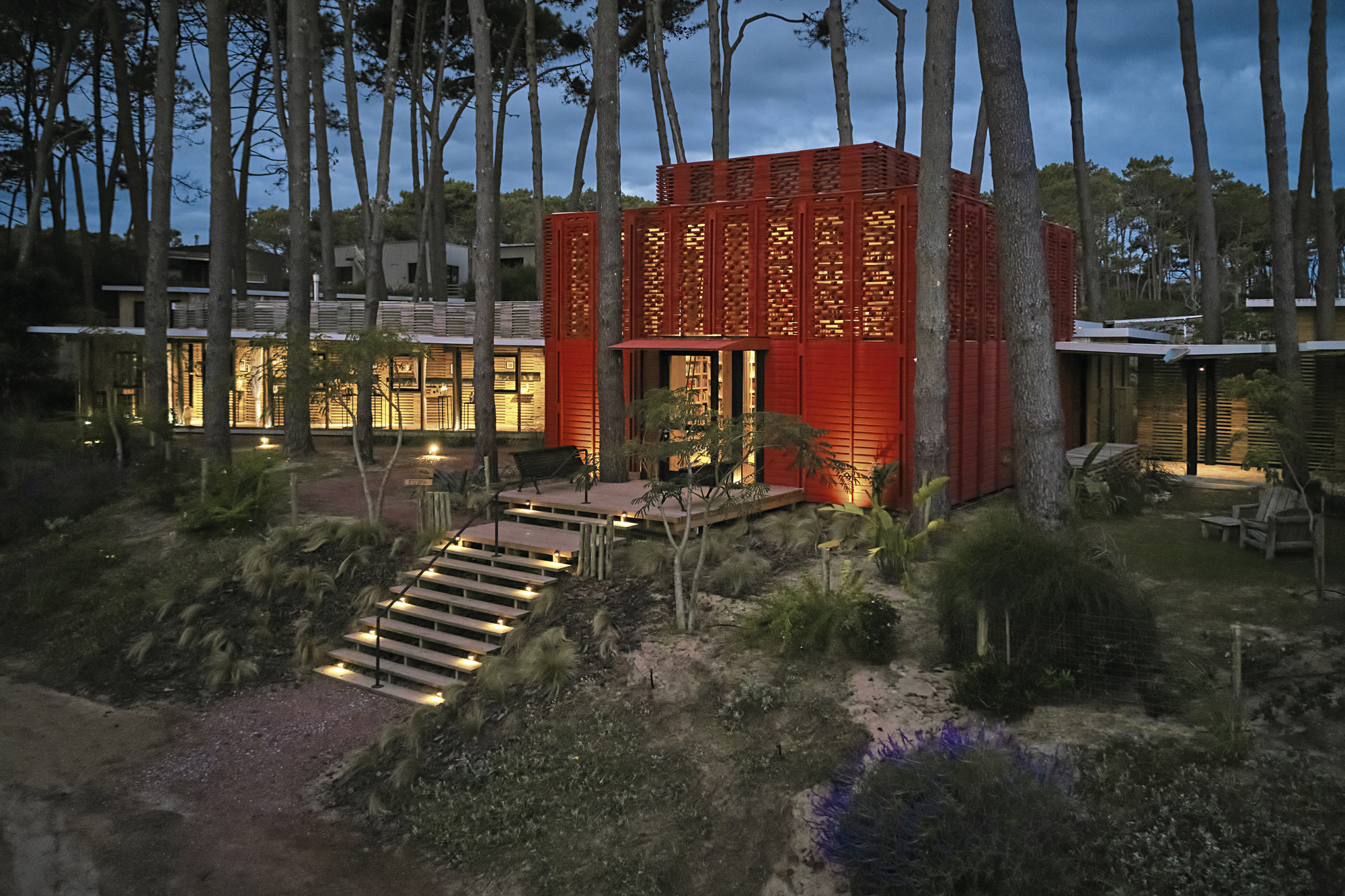 Rizoma, en La Juanita. Foto: Rizoma