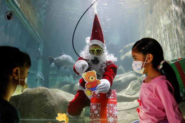 Acuario de la familia Noel. Foto: EFE