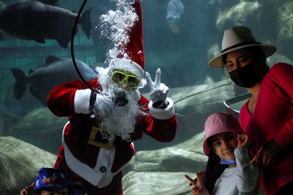 Acuario de la familia Noel. Foto: EFE