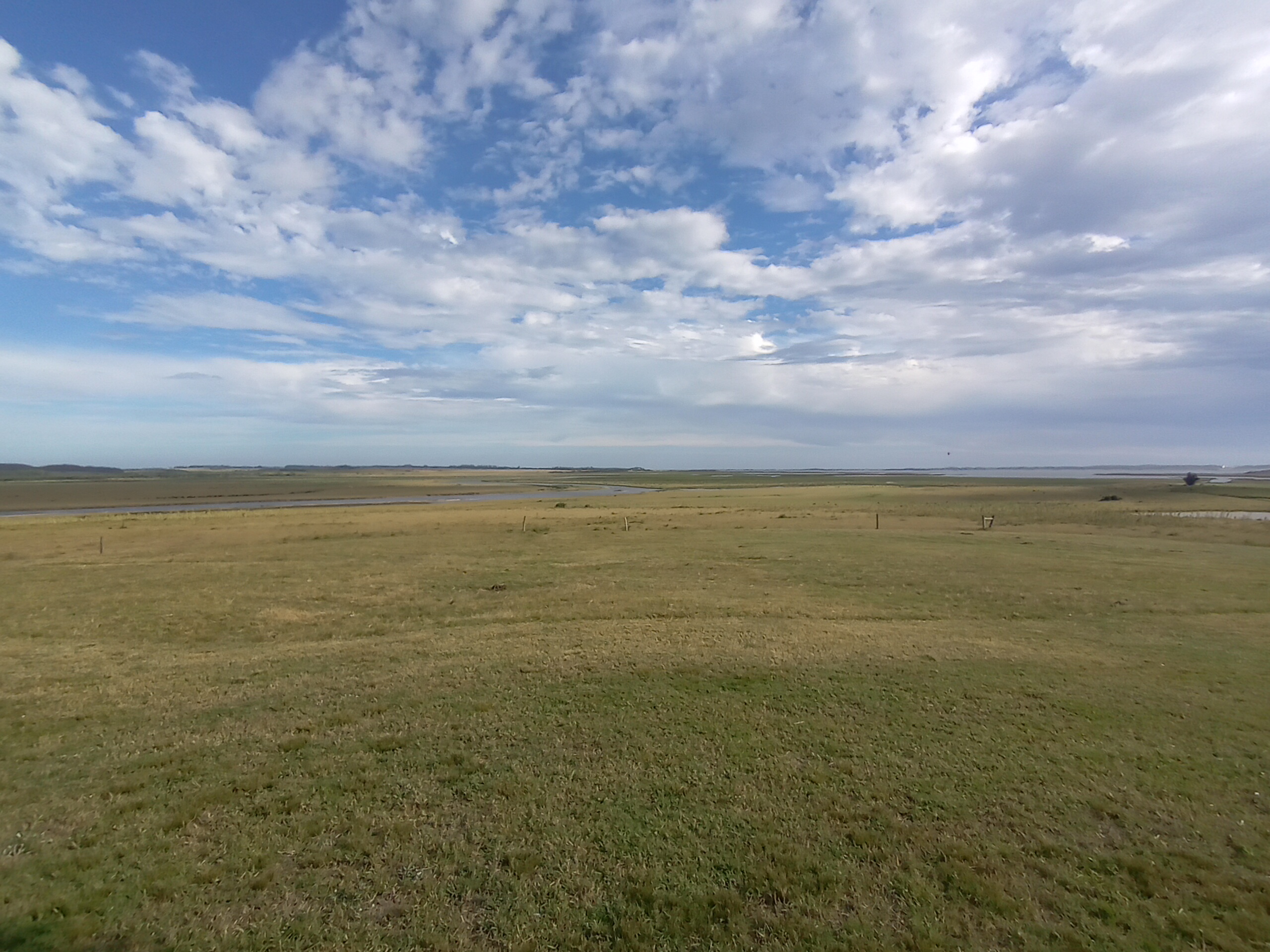 Fotografía tomada con el Nokia G20