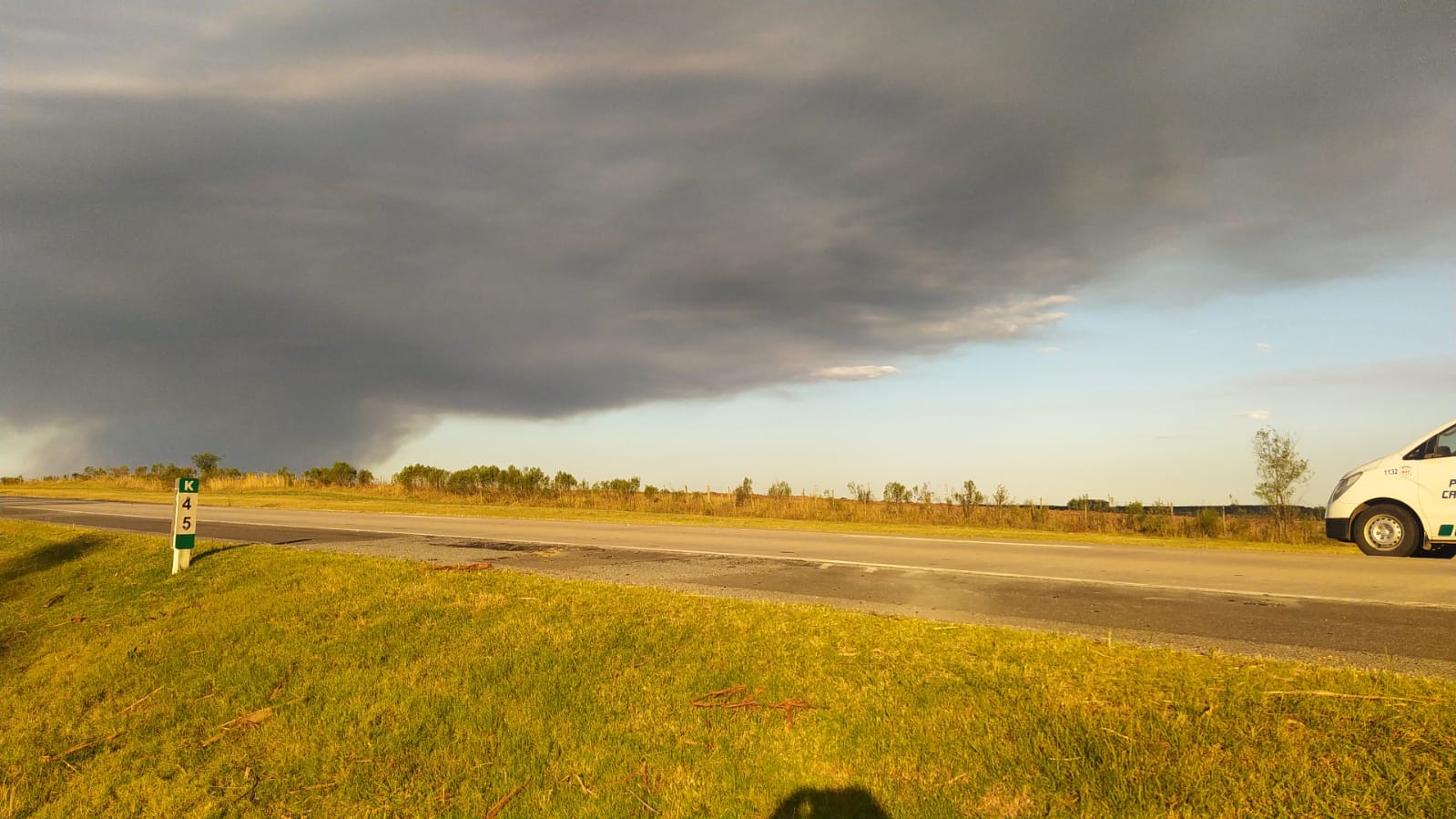 Incendio en campo forestal de Río Negro. Foto: Policía Caminera